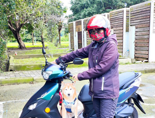 上班族 王車主 | K1