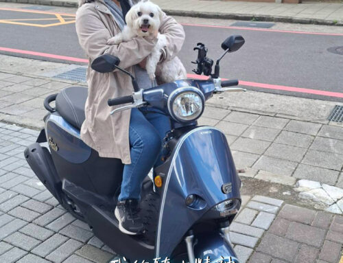 上班族 林車主 | 小精靈 Genie